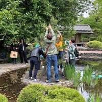 Лекция "Бонсай для начинающих"