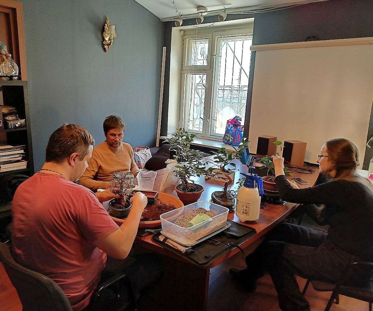 Лекция "Бонсай для начинающих"