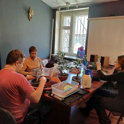 Лекция "Бонсай для начинающих"