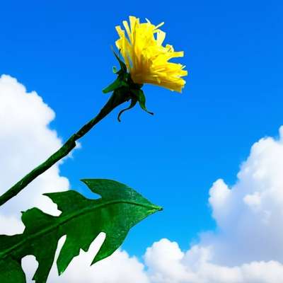 МK «Одуванчик из бумаги»