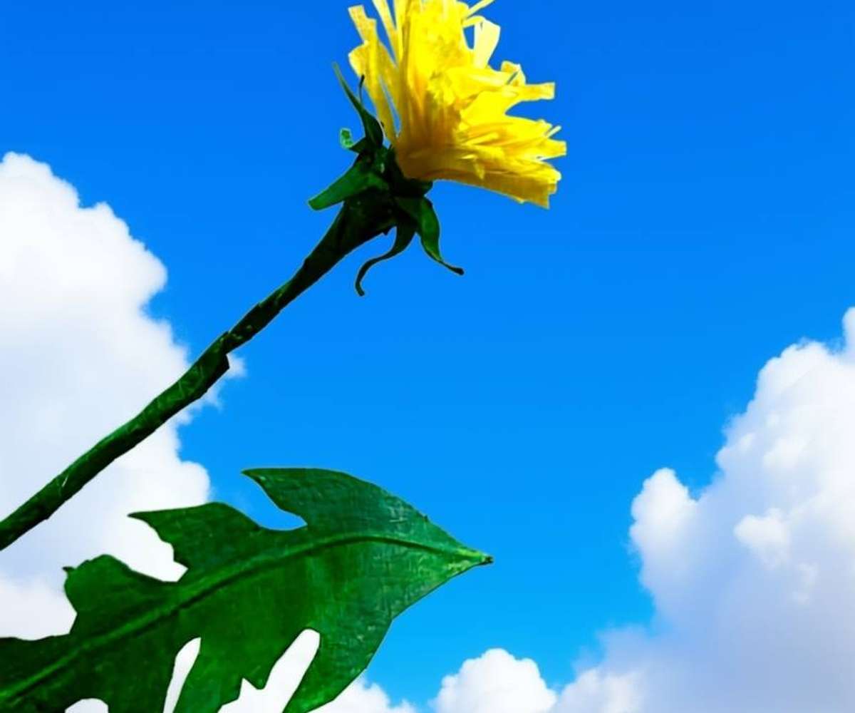 МK «Одуванчик из бумаги»